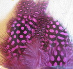 ����� ������� quinea hackle  hot pink N. Spirit